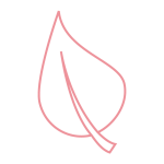 tc_icons_2018_line_pink_ tc_icons_2018_line_pink_